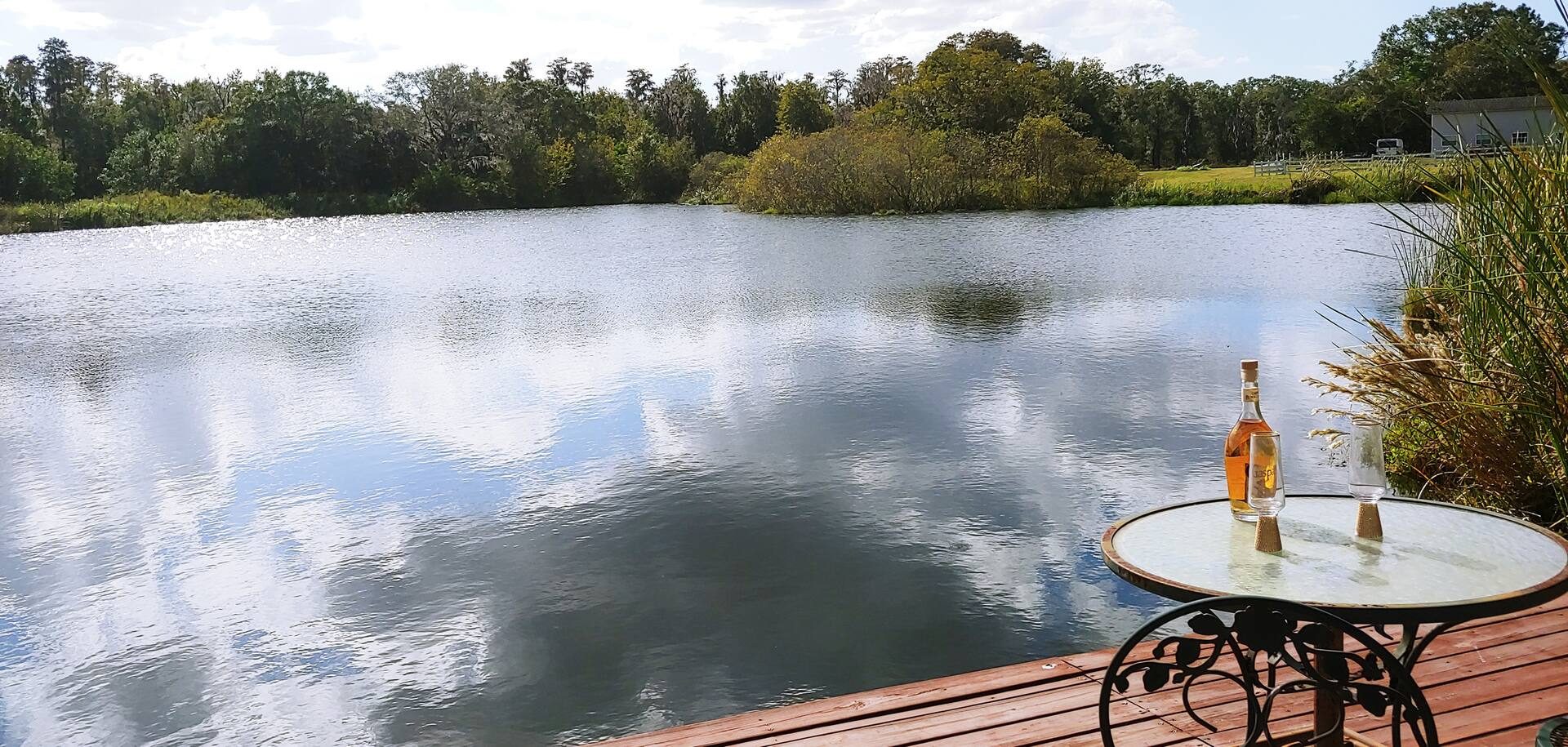 Pond view from the dock